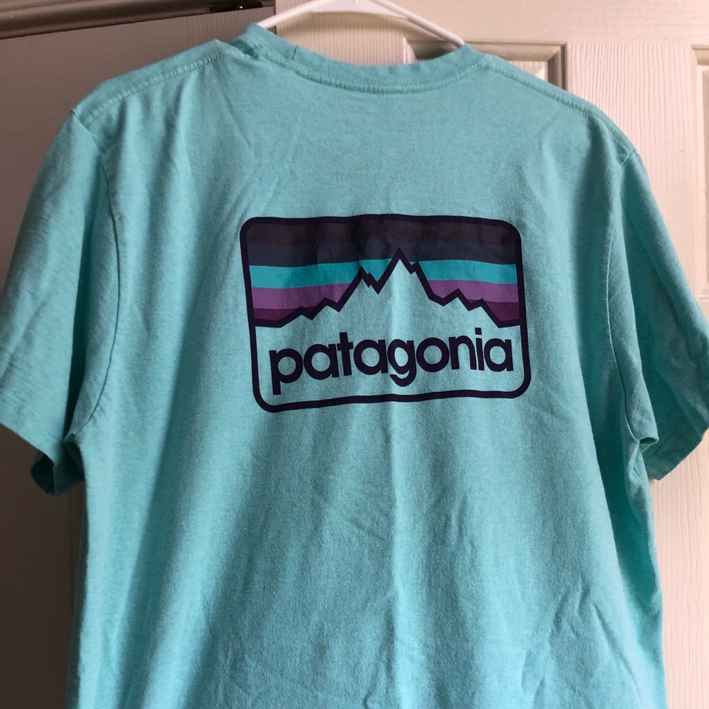 patagonia t shirt